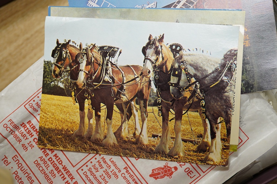 A collection of postcards; East Sussex, Condition - variable